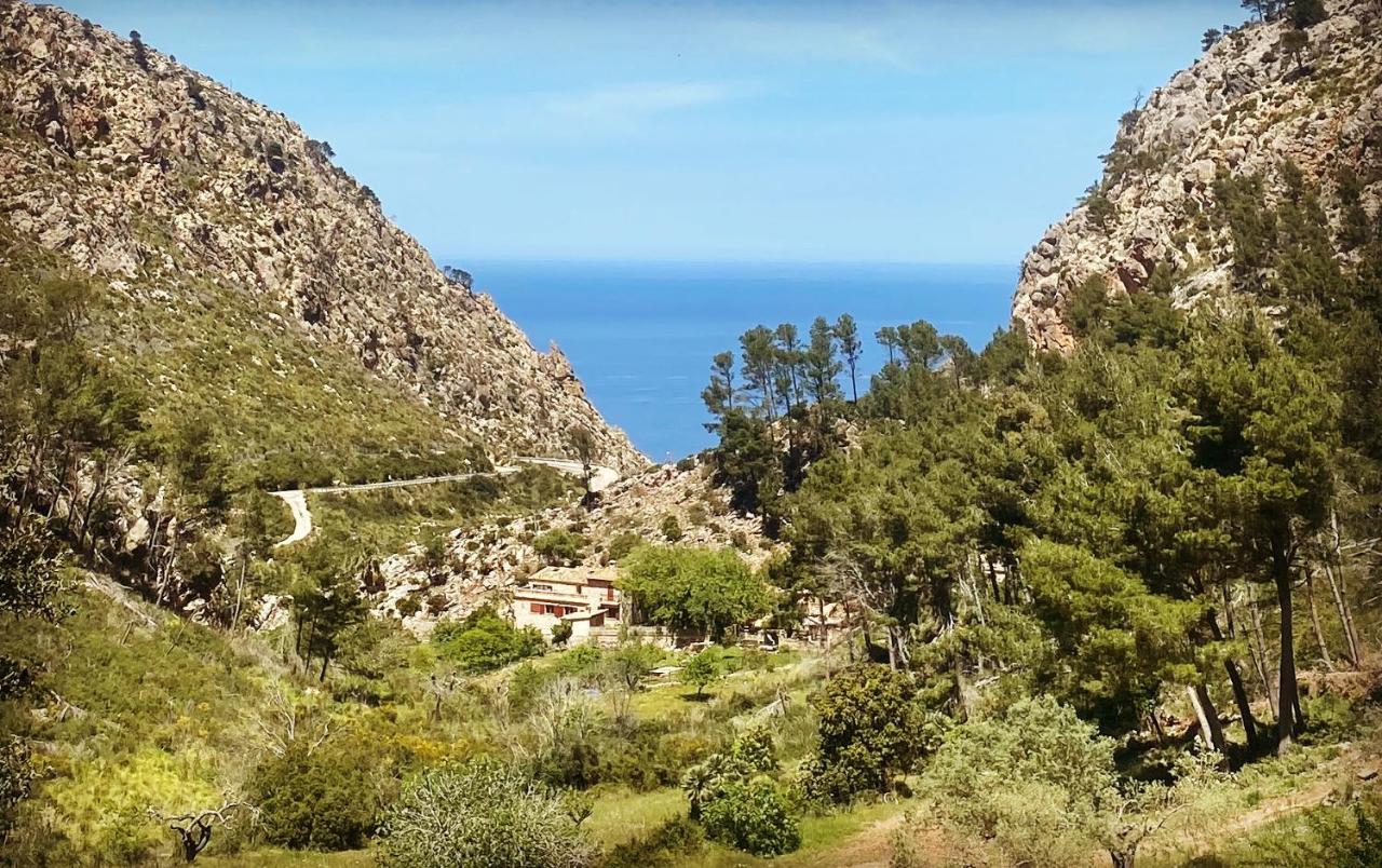 Finca Ses Fontanelles Andratx Exterior foto