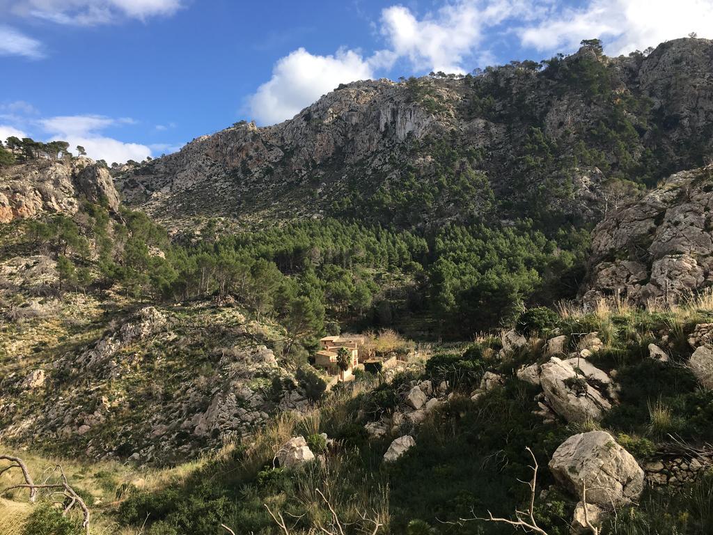 Finca Ses Fontanelles Andratx Exterior foto