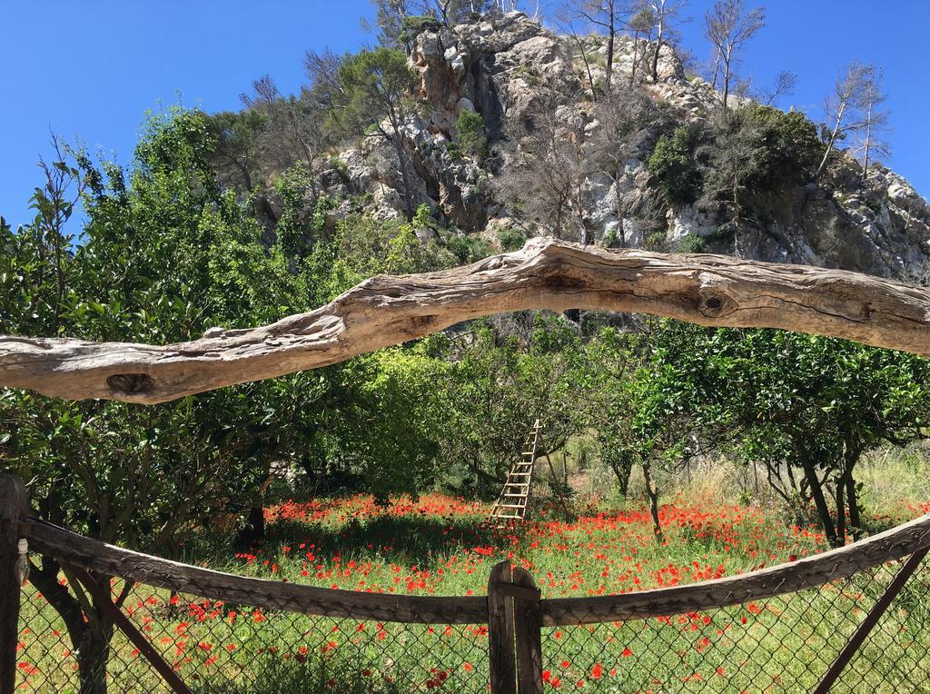 Finca Ses Fontanelles Andratx Exterior foto